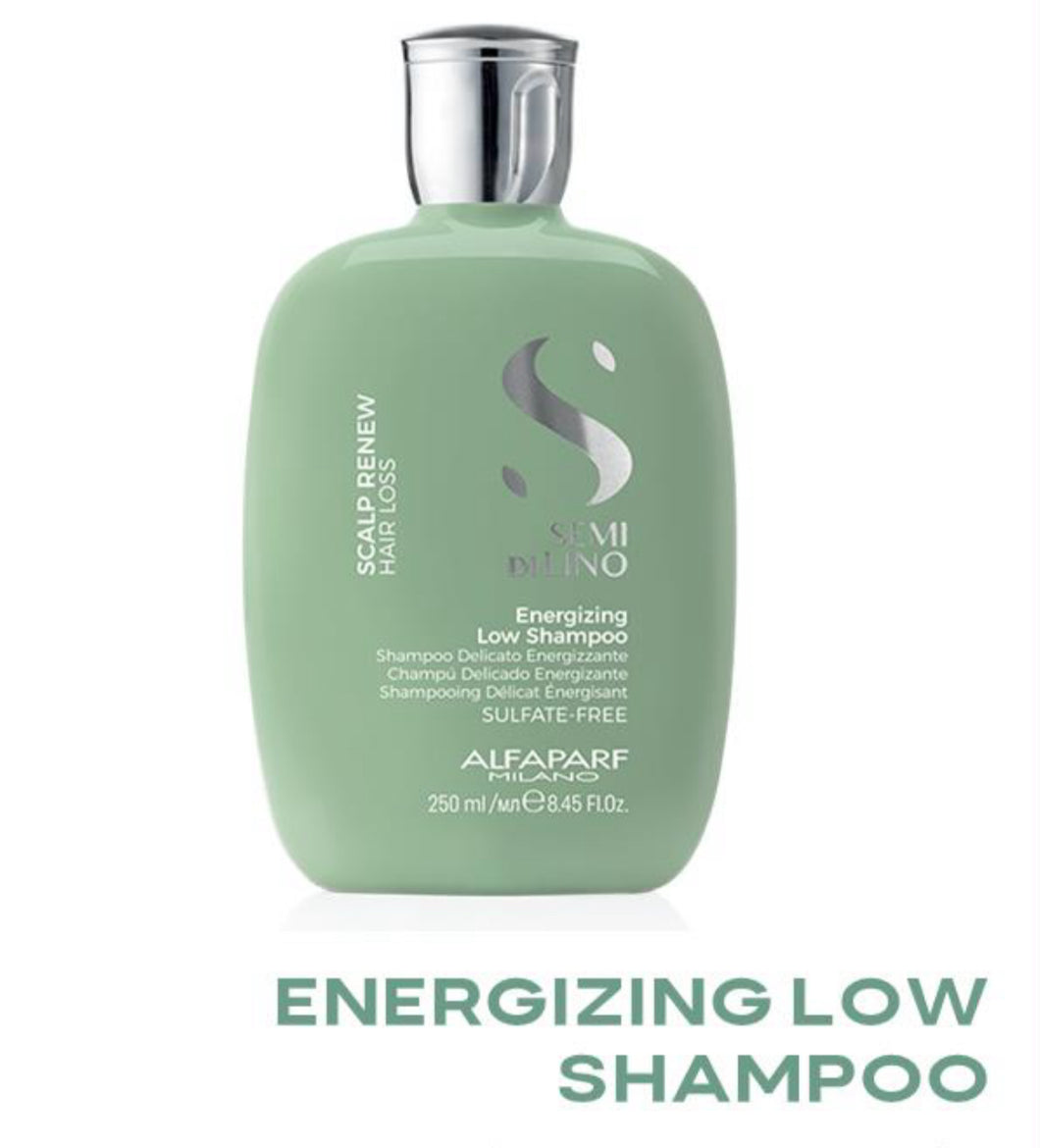 Shampoo caída de cabello 250 ml Alfaparf