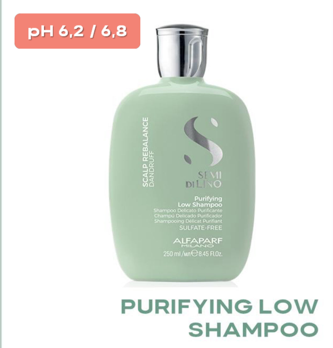 Shampoo anti caspa 250 ml Alfaparf